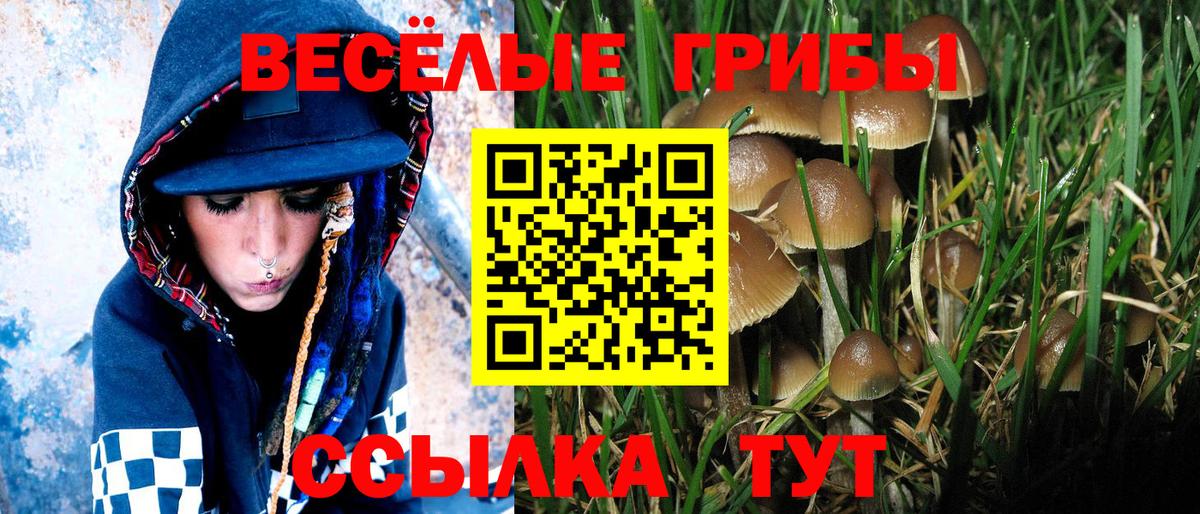 Скопин  Галлюциногенные грибы Psilocybe  Вход с VPN 