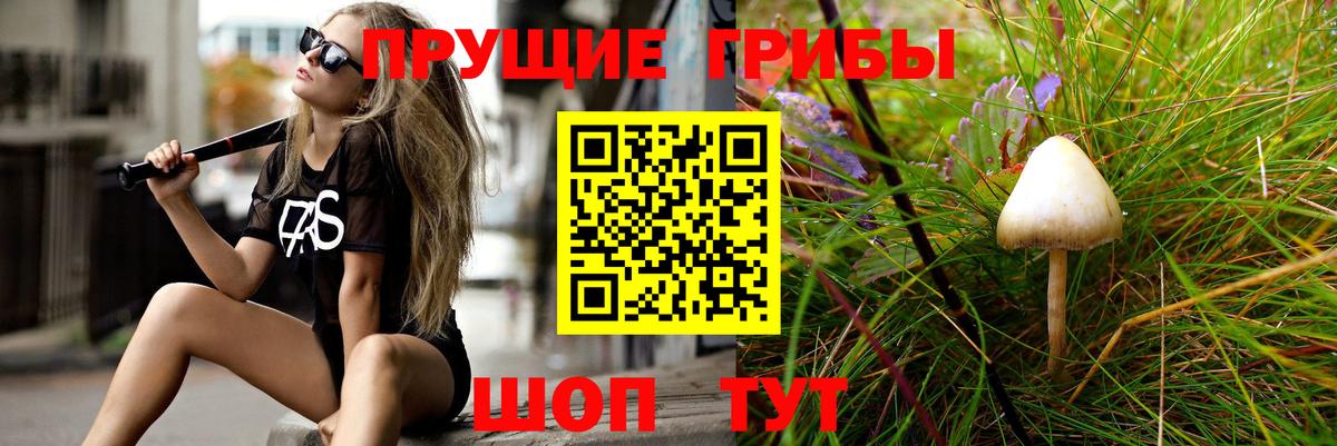 Псилоцибиновые грибы Cubensis Скопин